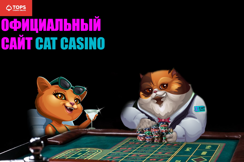 Официальный сайт Cat casino