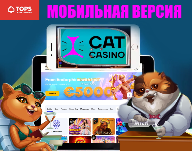 Официальный сайт Cat casino
